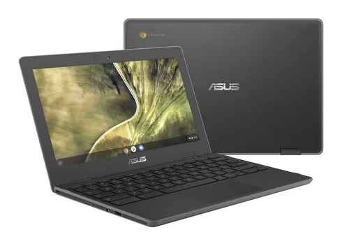 Asus C204MA