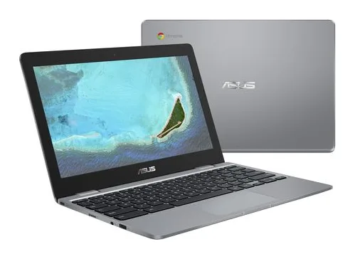 Asus C223NA