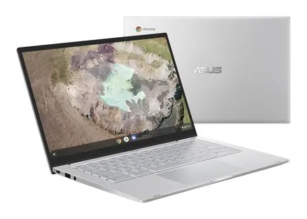 Asus C425TA