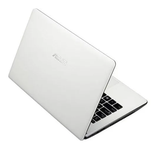 Asus X301A